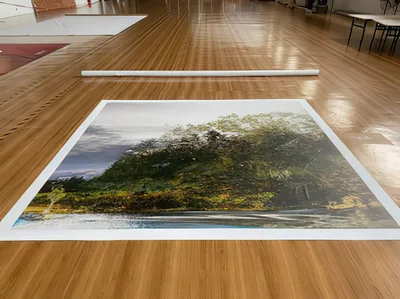 20210801 Alex Fischer Day Forest 118x126 install 01.jpg